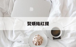 赘婿陆红提