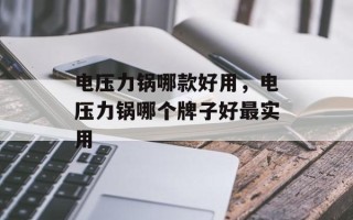电压力锅哪款好用，电压力锅哪个牌子好最实用