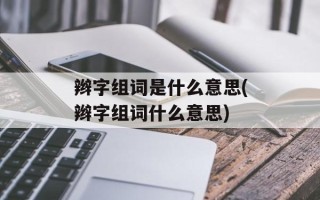 辫字组词是什么意思(辫字组词什么意思)