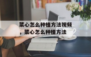 菜心怎么种植方法视频，菜心怎么种植方法