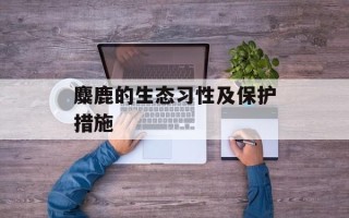 麋鹿的生态习性及保护措施