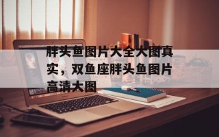 胖头鱼图片大全大图真实，双鱼座胖头鱼图片高清大图