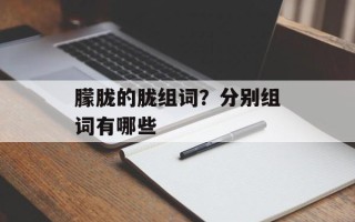 朦胧的胧组词？分别组词有哪些