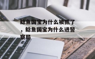 鲶鱼国宝为什么被抓了，鲶鱼国宝为什么进警察局