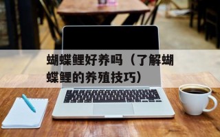 蝴蝶鲤好养吗（了解蝴蝶鲤的养殖技巧）