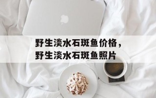 野生淡水石斑鱼价格，野生淡水石斑鱼照片