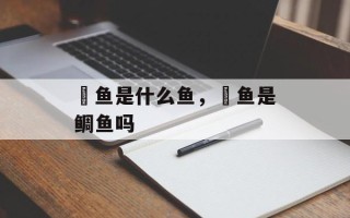 鰤鱼是什么鱼，鰤鱼是鲷鱼吗