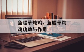 鱼腥草炖鸡，鱼腥草炖鸡功效与作用