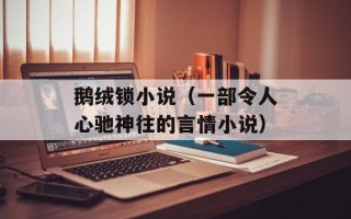 鹅绒锁小说（一部令人心驰神往的言情小说）