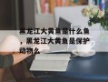 黑龙江大黄鱼是什么鱼，黑龙江大黄鱼是保护动物么