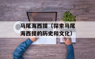 马尾海西提（探索马尾海西提的历史和文化）