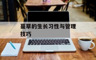 蔓草的生长习性与管理技巧