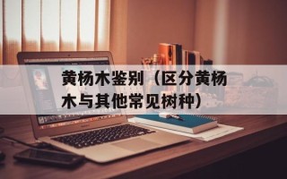 黄杨木鉴别（区分黄杨木与其他常见树种）