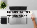 黑脚鸡养殖指南（从选种到饲养全程指导）