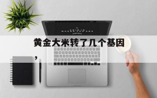 黄金大米转了几个基因，