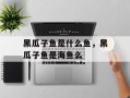 黑瓜子鱼是什么鱼，黑瓜子鱼是海鱼么
