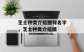 芝士种类介绍图和名字，芝士种类介绍图