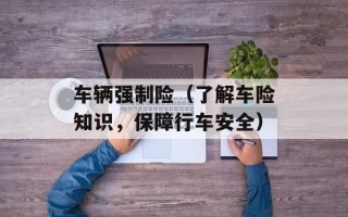车辆强制险（了解车险知识，保障行车安全）