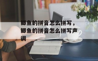 鲫鱼的拼音怎么拼写，鲫鱼的拼音怎么拼写声调