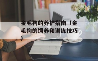 金毛狗的养护指南（金毛狗的饲养和训练技巧）
