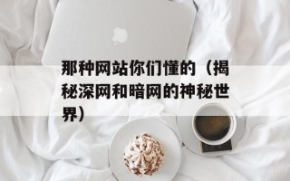 那种网站你们懂的（揭秘深网和暗网的神秘世界）