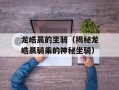 龙皓晨的坐骑（揭秘龙皓晨骑乘的神秘坐骑）