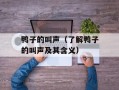 鸭子的叫声（了解鸭子的叫声及其含义）