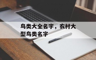 鸟类大全名字，农村大型鸟类名字