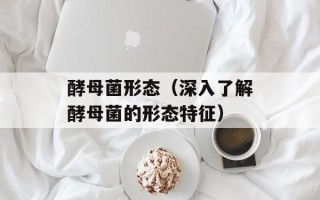 酵母菌形态（深入了解酵母菌的形态特征）