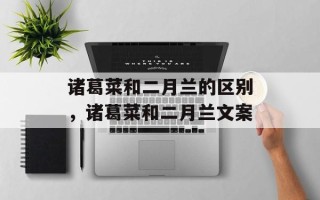 诸葛菜和二月兰的区别，诸葛菜和二月兰文案