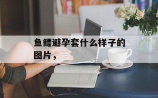 鱼鳔避孕套什么样子的图片，