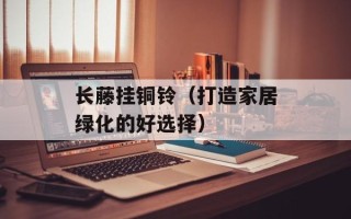 长藤挂铜铃（打造家居绿化的好选择）
