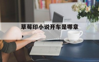 草莓印小说开车是哪章，