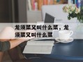 龙须菜又叫什么菜，龙须菜又叫什么菜