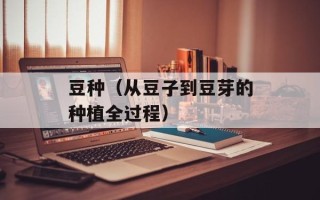 豆种（从豆子到豆芽的种植全过程）