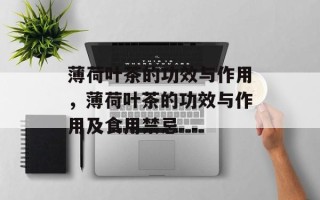 薄荷叶茶的功效与作用，薄荷叶茶的功效与作用及食用禁忌