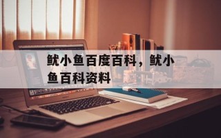 鱿小鱼百度百科，鱿小鱼百科资料