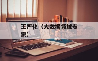 王严化（大数据领域专家）
