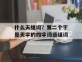 什么天组词？第二个字是天字的四字词语组词
