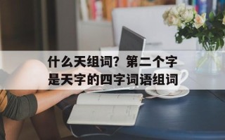 什么天组词？第二个字是天字的四字词语组词