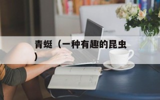 青蜓（一种有趣的昆虫）