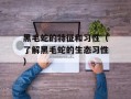 黑毛蛇的特征和习性（了解黑毛蛇的生态习性）