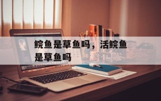 鲩鱼是草鱼吗，活鲩鱼是草鱼吗