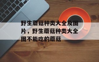 野生蘑菇种类大全及图片，野生蘑菇种类大全图不能吃的蘑菇