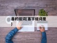 善的组词(善字组词是)