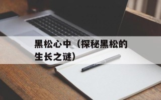 黑松心中（探秘黑松的生长之谜）