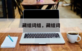 藏组词组，藏组词