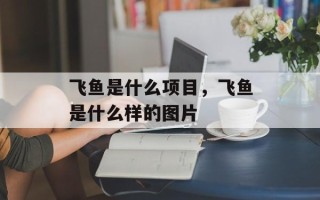 飞鱼是什么项目，飞鱼是什么样的图片