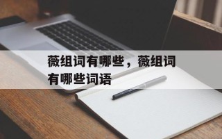 薇组词有哪些，薇组词有哪些词语