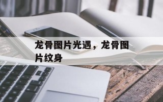 龙骨图片光遇，龙骨图片纹身